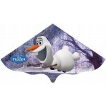 Günther Paw Patrol Tlapková patrola jednošňůrový silná PE folie 115x63cm – Zboží Dáma