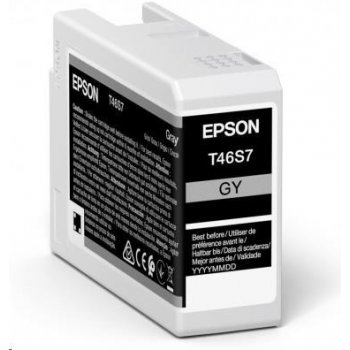 Epson T46S700 - originální