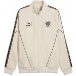 Puma FC St. Pauli King Anthem hnědá – Hledejceny.cz