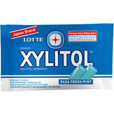 Lotte Xylitol Fresh Mint 11.6g – Zboží Dáma