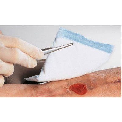 Vliwazell Komprese nesterilní vysoce absorpční 10 x 10cm 25 ks – Zboží Dáma