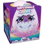Líhnoucí se zvířátko Hatchimals Draggle – Zbozi.Blesk.cz