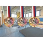 Akrylátová medaile Gymnastika Zlatá – Hledejceny.cz