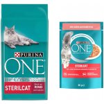Purina ONE Bifensis sterilcat hovězí a pšenice 9,75 kg – Zboží Mobilmania