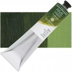 Sennelier Rive Gauche olejová barva 200 ml 819 sap green – Hledejceny.cz