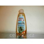 BC Bione Cosmetics Bio Cannabis šampon na vlasy proti lupům 260 ml – Zboží Dáma