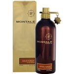 Montale Aoud Forest parfémovaná voda unisex 100 ml – Hledejceny.cz