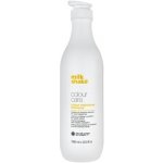 Milk Shake Color Maintainer Shampoo 1000 ml – Hledejceny.cz