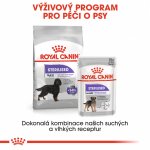 Royal Canin Maxi Adult Sterilised 12 kg – Hledejceny.cz