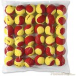 Wilson Starter 36 ks – Zboží Dáma