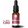 Doplněk stravy na spánek a nervovou soustavu Happease Balance CBD Olej Strawberry Field 5 % CBD 500 mg 10 ml