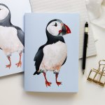 ePipí Sešit A5 Papuchalk Listy sešitu Linky – Zboží Dáma