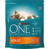 Granule pro kočky Purina ONE Adult kuřecí & celozrnné obilniny 2 x 6 kg