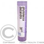 PHYTOLACCA DECANDRA POR 30CH GRA 4G – Hledejceny.cz