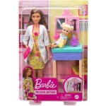 Barbie Povolání herní set dětská doktorka bruneta – Zbozi.Blesk.cz