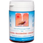 TCM Herbs Klenba malebného chrámu 100 tablet – Hledejceny.cz