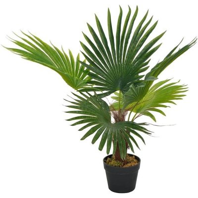 Umělá rostlina palma s květináčem zelená 70 cm – Sleviste.cz