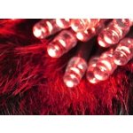 Immax NEO LITE Smart vánoční LED osvětlení řetěz 20m 200ks CCT diod WiFi TUYA – Zboží Dáma