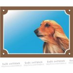 Dafiko Tabulka Zlatý retriever – Sleviste.cz
