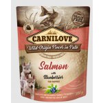Carnilove Puppy Paté Salmon with Blueberries 300 g – Hledejceny.cz