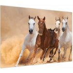 Moderní obraz V024705V10070 () – Zboží Dáma