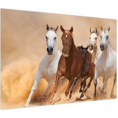 Moderní obraz V024705V10070 () – Zboží Dáma