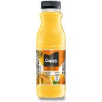 Cappy Pomeranč nektar 12 x 330 ml – Zboží Dáma