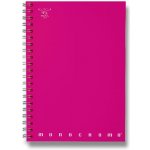 Pigna Monocromo kroužkový blok A4 ,linkovaný – Zboží Živě