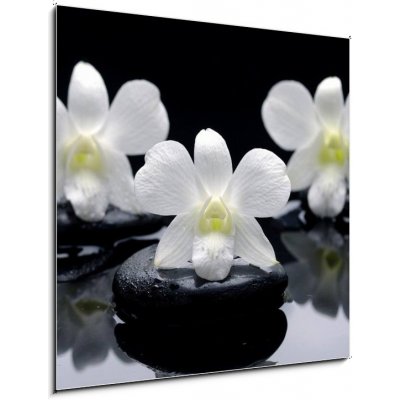Skleněný obraz 1D - 50 x 50 cm - Spa Still life with beautiful white orchid on therapy stones Spa Zátiší s krásnou bílou orchidejí na terapii kameny – Zboží Mobilmania