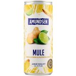 Amundsen Mule RTD 6% 0,25 l (holá láhev) – Sleviste.cz