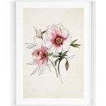 Plakát / Obraz Luční květy A4 - 21 x 29,7 cm Pololesklý saténový papír – Hledejceny.cz