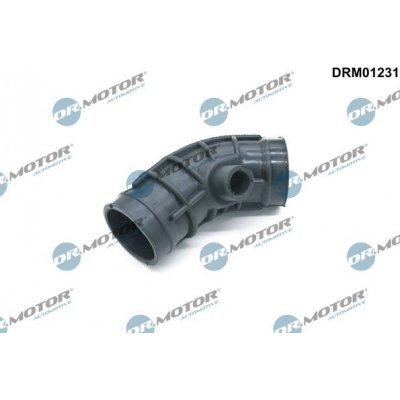 Sací hadice, vzduchový filtr DR MOTOR DRM01231 – Hledejceny.cz