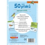 Mindok Expedice příroda: 50 našich ptáků – Zbozi.Blesk.cz