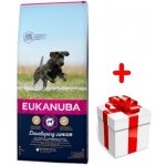 Eukanuba Junior Large 15 kg – Hledejceny.cz