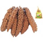 Avicentra Proso senegalské klasy 100 g – HobbyKompas.cz