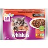 Kapsička pro kočky Whiskas Junior kura & hovädzie & jahňa & králik v šťave 4 x 85 g