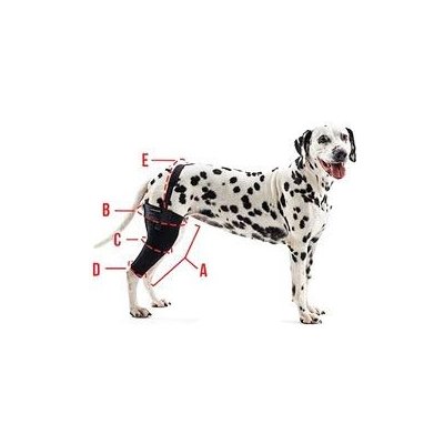 Kruuse Bandáž na koleno pro psa Rehab S Levá – Sleviste.cz