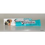 ATV impex Stomodine 30 g – Hledejceny.cz