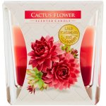 Bispol Aura Cactus Flower 170 g – Hledejceny.cz