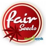 Fair Seeds Gestapo semena neobsahují THC 3 ks – Sleviste.cz