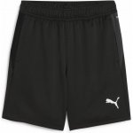 Puma teamGOAL černá UK Junior – Hledejceny.cz