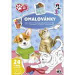 Procvičování pravopisu pro 5.ročník ZŠ – Zboží Dáma