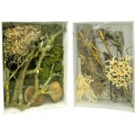 Lucky ReptileDeco Set Desert – Hledejceny.cz