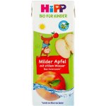 HiPP BIO nápoj jemné jablko s neperlivou pramenitou vodou 200 ml – Zboží Dáma