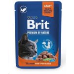 Brit Premium Cat Sterilised Salmon 100 g – Zbozi.Blesk.cz