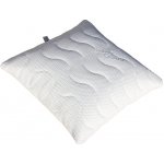 Dřevočal Polštář Leoš Aloe Vera 50x50 – Zboží Mobilmania