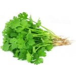 Kotányi Koriandr 30 g – Sleviste.cz