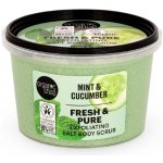 Organic Shop Exfoliating Salt Body Scrub Fresh & Pure Mint & Cucumber 250 ml – Sleviste.cz