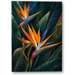 Plakát – Strelície mezi tmavými listy 21 × 30 cm Bez rámu Ano Bez rámu – Hledejceny.cz