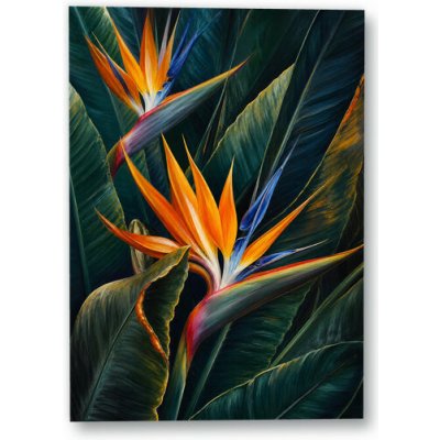 Plakát – Strelície mezi tmavými listy 21 × 30 cm Bez rámu Ano Bez rámu – Hledejceny.cz